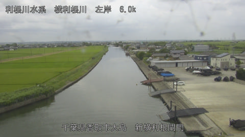 yoko2026072612_image