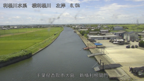 yoko2026072712_image