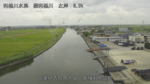 yoko2026072812_image