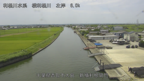 yoko2026073012_image