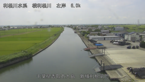 yoko2026073112_image
