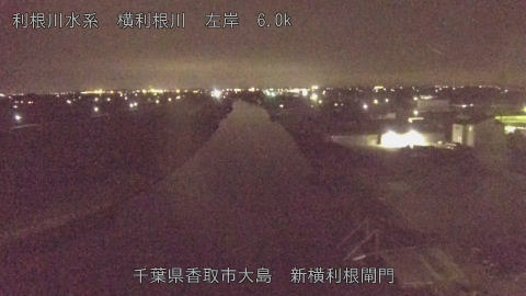 yoko2026073121_image