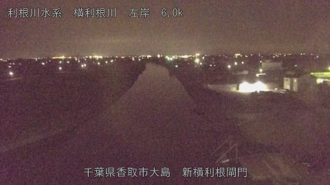 yoko2026073122_image