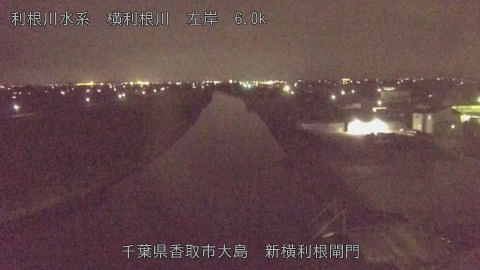 yoko2026073123_image