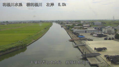 yoko2026080114_image