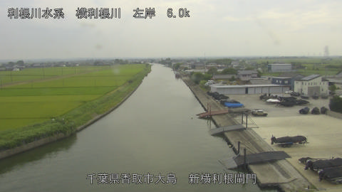 yoko2026080115_image