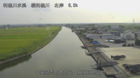 yoko2026080116_image