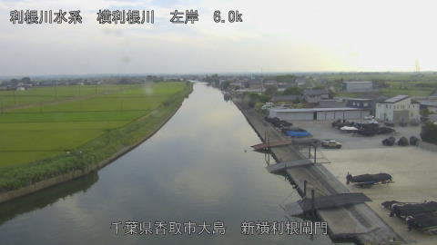 yoko2026080117_image