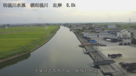 yoko2026080118_image
