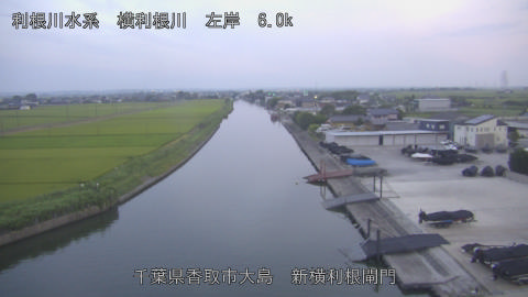 yoko2026080119_image