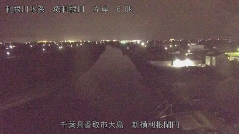yoko2026080121_image