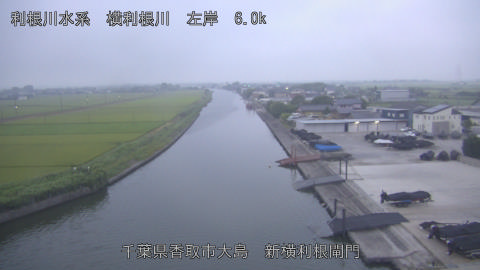 yoko2026080205_image
