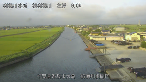 yoko2026080206_image