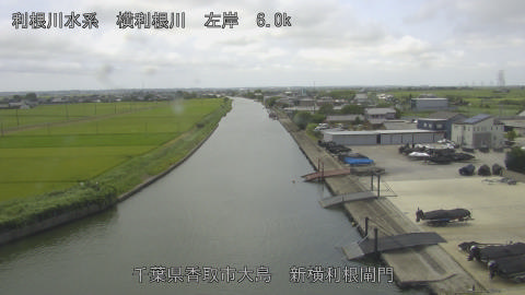 yoko2026080213_image