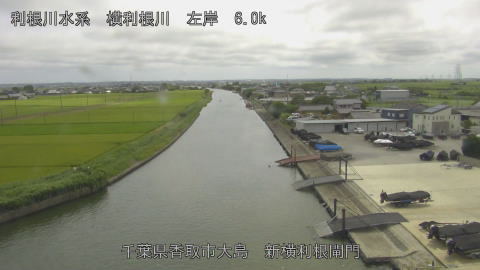 yoko2026080214_image