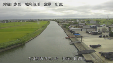 yoko2026080215_image