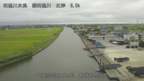 yoko2026080216_image