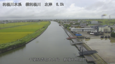 yoko2026081312_image