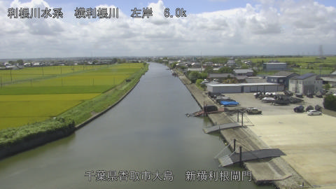 yoko2026081512_image