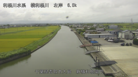 yoko2026081612_image