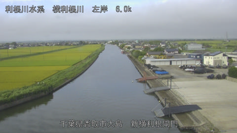 yoko2026081707_image