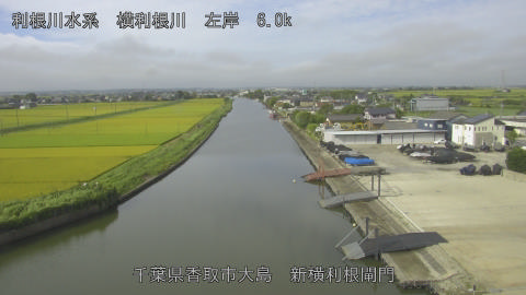 yoko2026081708_image