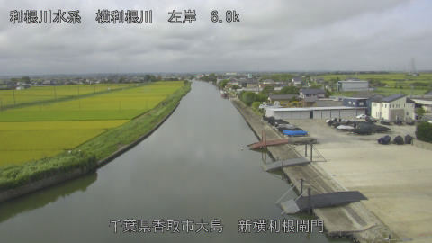 yoko2026081709_image