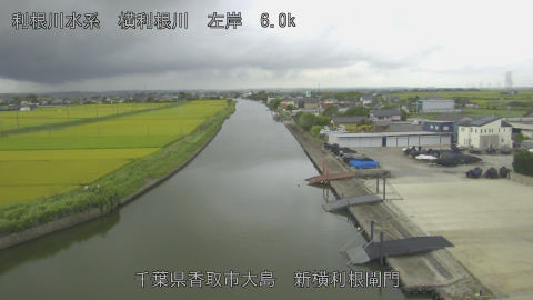 yoko2026081710_image