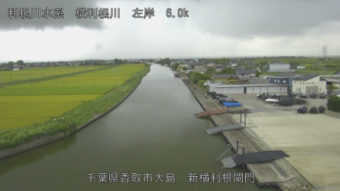 yoko2026081711_image