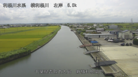 yoko2026081713_image