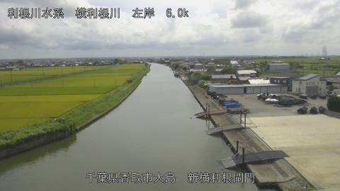 yoko2026081714_image
