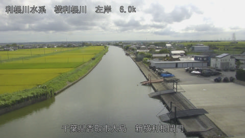 yoko2026081715_image