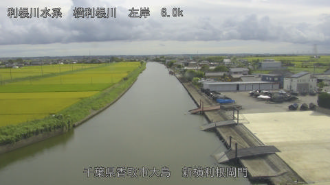 yoko2026081716_image