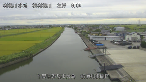 yoko2026081717_image