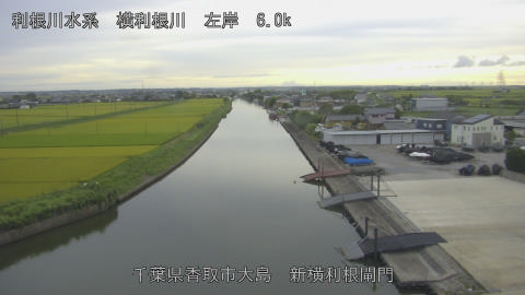 yoko2026081718_image