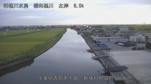 yoko2026081719_image