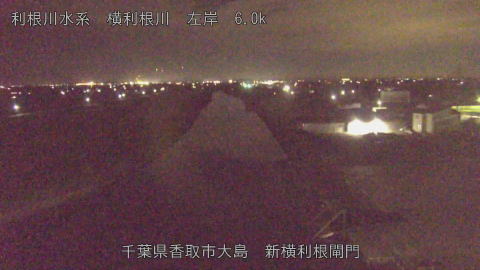 yoko2026081723_image