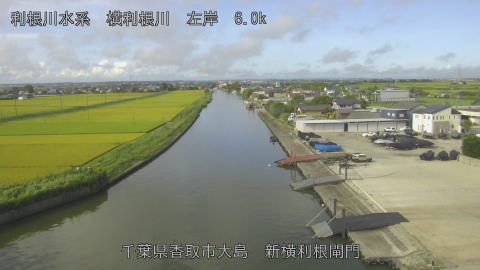 yoko2026081808_image