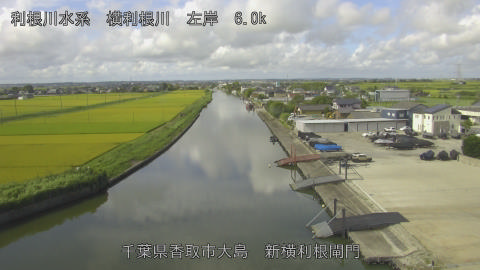 yoko2026081809_image