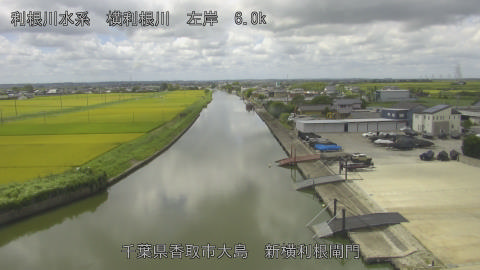 yoko2026081811_image
