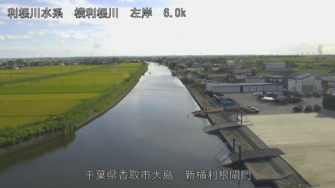 yoko2026081816_image