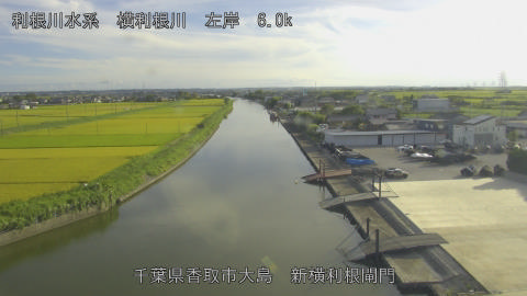 yoko2026081817_image