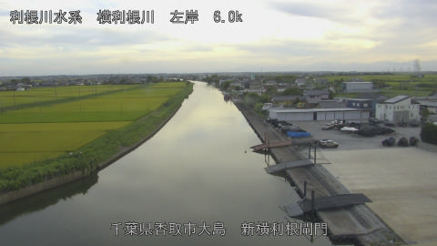 yoko2026081818_image