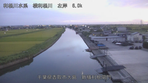 yoko2026081819_image