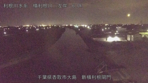 yoko2026081821_image
