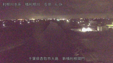 yoko2026081900_image