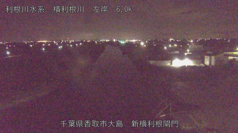 yoko2026081901_image