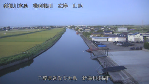 yoko2026081905_image
