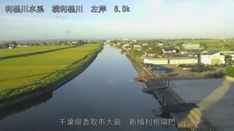 yoko2026081906_image