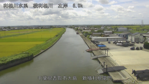 yoko2026082012_image